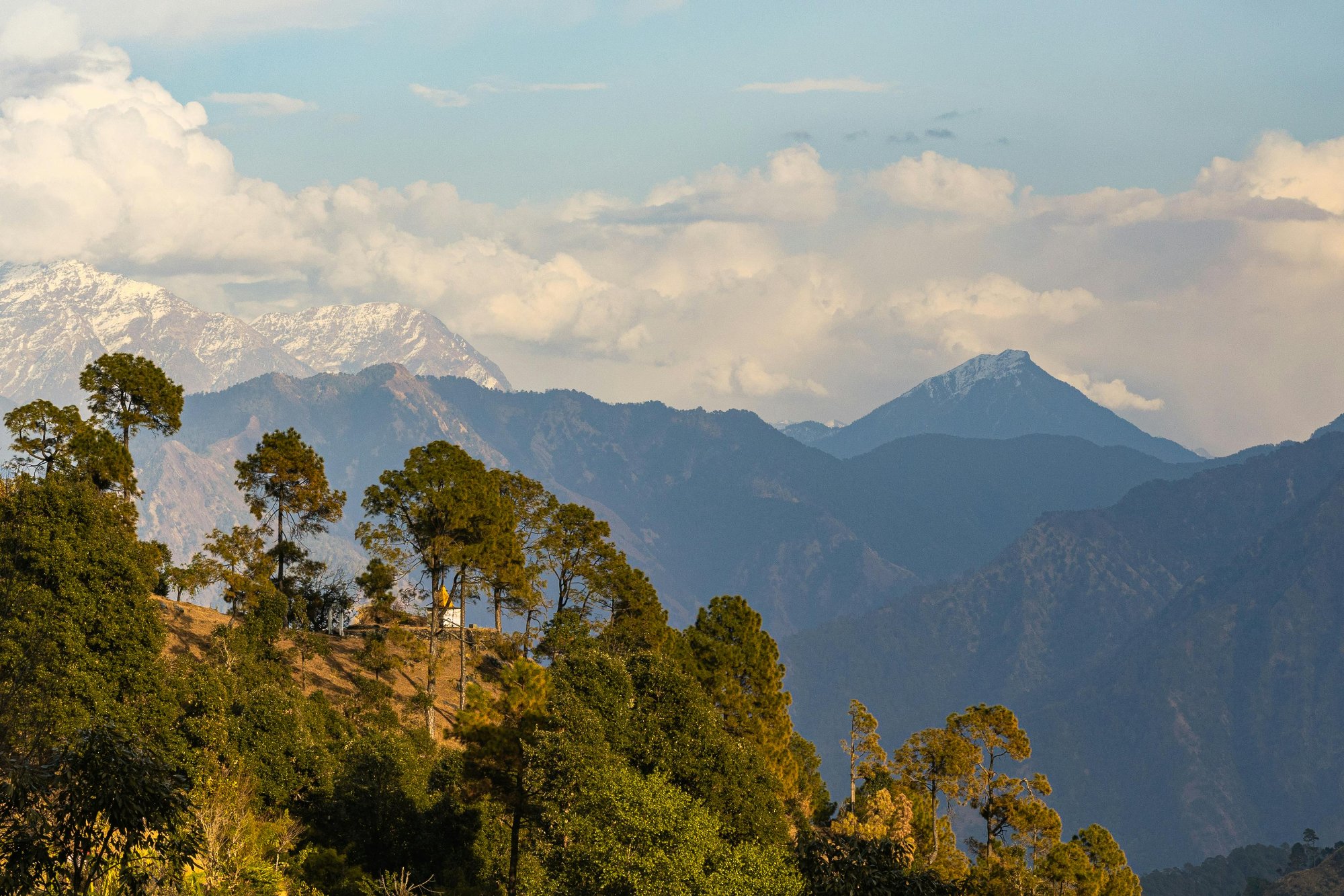 Pine trees and snow-capped Himalayan peaks, Pauri Garhwal
